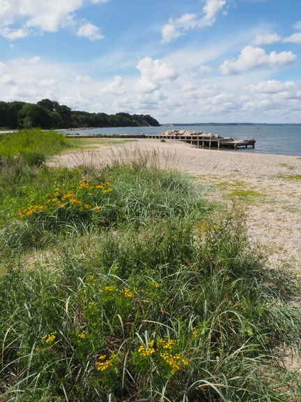 Trelde Næs (Fredericia) (Denemarken) 